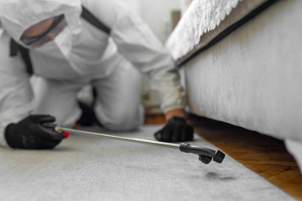 Professional Bed Bug Control technician working in Marysville, MI