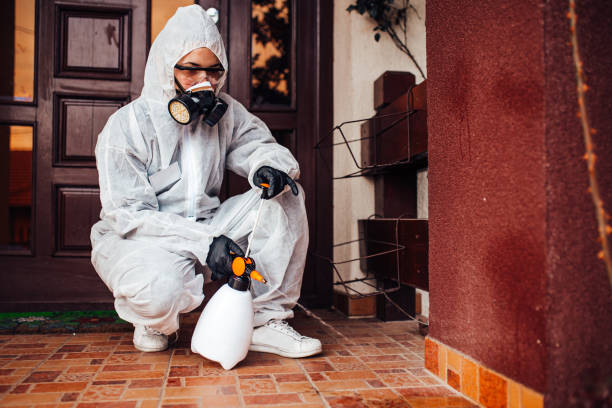 Reliable Bed Bug Control contractor in Marysville, MI by Nex Pest Control