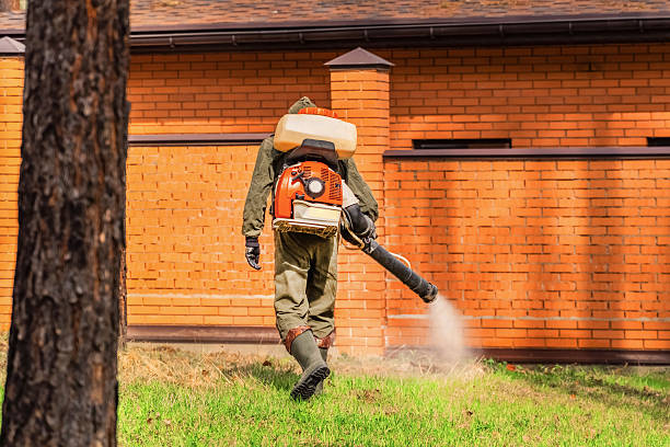 Trusted Emergency Pest Control service in Marysville, MI - Nex Pest Control
